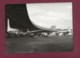 290520 - PHOTO PRESSE 1963 - ALLEMAGNE BERLIN Aéroport De Tempelhof Avion Aviation Camion Essence Esso Ravitailleur - Tempelhof