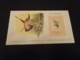 EP57 - Birds Of The World Stamp Collection -  Grenada 1980 - Rufous-breasted Hermit - Colibris