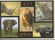 CPM, Afrique Du Sud  ( R.S.A. ) , Big 5, Africa , Lion , Rhino, Leopard , Elephant , Buffalo - Ed. N.H. Savana - South Africa