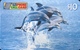 AUSTRALIE  -  Phonecard  -  EZIPHONE CALCARD   -  Dolphins  -  $ 10 - Australië