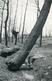 Delcampe - "Atmosphère De Printemps - Groenendael, Boitsfort -15 Avril 1942"    5  Photographies Originales D'époque. FG1417 - Lugares