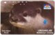 INDONESIA A-725 Magnetic Telkom - Animal, Sea Otter - Used - Indonesia