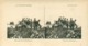 LA GRANDE GUERRE - MAROCAINS A L'ILRY-LE-FRANCOIS - Stereoscope Cards