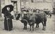 CARTE POSTALE ORIGINALE ANCIENNE : BRIVE ATTELAGE BOEUFS TYPE CENTRE  A LA FOIRE ATTENDANT ACHETEUR  ANIMEE CORREZE (19) - Brive La Gaillarde