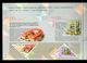 Hong Kong 2000 Museums And Libraries Presentation Pack Stamps Set Of 4 MNH - Booklets