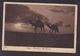 Egypt - Cairo Eventide In The Desert With Camels - Posted Simla India 1928 - Autres & Non Classés