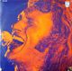 JOHNNY HALLYDAY - LP - 2 X 33T - Disque Vinyle - Live At The Palais Des Sports Paris - 6641038 - Rock