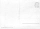 Flugaufnahme  Glarus (10 X 15 Cm) - Autres & Non Classés