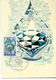 FRANCE -Carte Maximum Yv 1612 - Charte Européenne Eau  Paris 27 09 69 - Cartas & Documentos