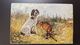 CHASSE - Cerf - Dog - Muller - Old Vintage Art Postcard 1910s Hunting / Chasse - Mueller, August - Munich