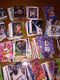 BASKET  800   PETITES CARTES FLEERS - Sonstige & Ohne Zuordnung