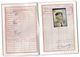 PASSEPORT 1952 - MARCADON  NE 1907 CHATEAUROUX INGENIEUR - HABITE COLOMBES - TAMPONS SUISSE ITALIE - Historical Documents