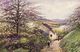 Illustrateur Picturesque Devon  "Blossom Time" RV TUCK'S - Paintings