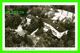 MUSKOKA, ONTARIO - AERIAL VIEW OF ASTON VILLA - REAL PHOTOGRAPH - PHOTO BY THATCHER STUDIO - - Muskoka