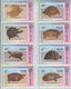 CHINA TURTLE SET OF 16 PHONE CARDS - Schildpadden