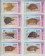 CHINA TURTLE SET OF 16 PHONE CARDS - Tartarughe