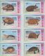 CHINA TURTLE SET OF 16 PHONE CARDS - Tartarughe