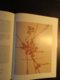 Tielt -  Historische Stedenatlas - Historia