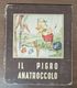 IL PIGRO ANATROCCOLO - Teenagers & Kids