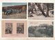 Delcampe - Super Lot De 63 CPA  DE GRECE - 5 - 99 Postcards