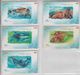 CHINA 2003 SEA LION WALRUS SEAL KILLING WHALE DOLPHIN SET OF 5 CARDS - Dolfijnen