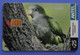 Uruguay Bird Cotorra Myopsitta Monachus Monaco Monk Parrot Oiseau Vogel Parrots Antel - Loros