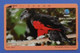 Indonesia Bird Psittrichas Fulgidus Betet Elang Parrot Pesquets Oiseau Vogel Birds Parrots Zoo Telkom - Parrots