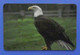 Liberia Phone Bird Bald Eagle Oiseau Vogel Birds Aquila - Eagles & Birds Of Prey