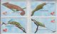 CHINA CHAMELEON SET OF 4 CARDS - Jungle