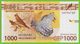 Voyo FRENCH POLYNESIA 1000 Francs ND/2014 P6 B106a Surfix B5 UNC Fauna - Territorios Francés Del Pacífico (1992-...)