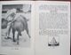 Delcampe - Toros Without Tears -  A Simple Explanation Of A Bullfight - 1963 Antique - Other & Unclassified