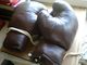 Old Boxing Gloves, Excellent Condition - Andere & Zonder Classificatie