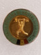 Badge Fédération Roumaine D'haltérophilie - Badge Romanian Weightlifting Federation - Gewichtheben - Gewichtheben