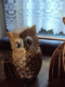 3 UILEN - CHOUETTES/HIBOUX - EULEN - OWLS    H : 30cm - 24 Cm - 19 Cm   (1396g Total Weight/gesamtgewicht/poids Total) - Wood