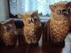 Delcampe - 3 UILEN - CHOUETTES/HIBOUX - EULEN - OWLS    H : 30cm - 24 Cm - 19 Cm   (1396g Total Weight/gesamtgewicht/poids Total) - Hout