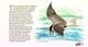 Delcampe - South Africa - 1999 Migratory Species Souvenir Booklet # SG SP2 - Carnets