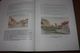 Delcampe - LA COTE BELGE / LA BELLE EPOQUE - Images Et L Histoire Des Villes Et Communes Le Long Du Littoral -  370 Pages Bilingue - Autres & Non Classés