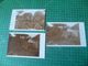 Fauvillers. 3 Cartes Photo.. Cachet Poste De 1938 - Fauvillers