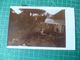 Fauvillers. 3 Cartes Photo.. Cachet Poste De 1938 - Fauvillers