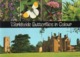 Boek / Worldwide Butterflies In Colour Met Zeer Mooi Foto's (Engels) - Wildlife