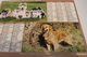 ALMANACH DU FACTEUR Calendrier Des Postes 2015, SEINE-MARITIME, BOUVIER, BERGER, Golden Retriev, Carton Souple.4 Photos. - Big : 2001-...