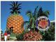 (A 34) Australia - QLD - Big Pineapple At Sunshine Plantation - Sunshine Coast