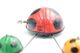 Vintage TIN TOY : Maker YONE YONEYA - LADY BUG FAMILY PARADE - 13 Cm - JAPAN - 1960's - - Collectors & Unusuals - All Brands