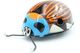 Vintage TIN TOY : Maker UNKNOWN - BUG  - 11 Cm - 1960's - - Collectors Et Insolites - Toutes Marques