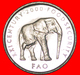 · ELEPHANT (1999-2002): SOMALIA ★ 5 SHILLINGS 2000 MINT LUSTER! LOW START★NO RESERVE! - Somalia