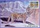 Kazakhstan 1998. Maxicard. Wild Cats. Maximum Cards. - Kasachstan