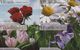 GREECE - Flowers/Rose-Daisy-Tulip-Orchid, Set Of 4 VF Promotion Prepaid Card, Tirage 50, Exp.date 30/09/10, Sample - Collections