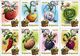 Belarus 2020 Set 14 Maxicards MC Definitives Flora  Vegetables Legumes - Vegetables