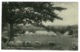 Ref 1380 - 1923 Postcard - The Camp & Sheep - The Hayes - Swanwick Debyshire - Derbyshire