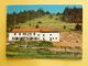 V10-88--vosges- Xonrupt-longemer-- Ferme Auberge Du Balveurche- - Xonrupt Longemer